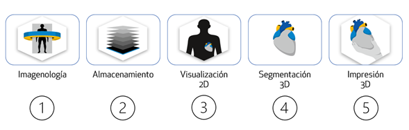 Desarrollo para la obtención del modelo anatómico